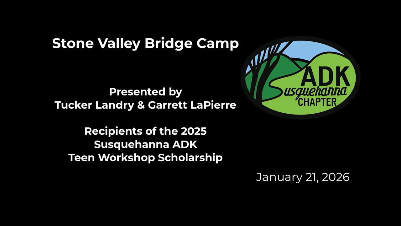 Teen Workshop Scholarship 2025 Presentation