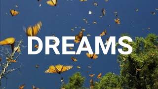 Slow Lofi Chill Type Beat Dreams || Akigami Beats