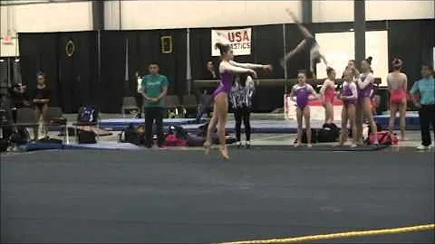 Shaye Lauro Level 10 State Meet 2016