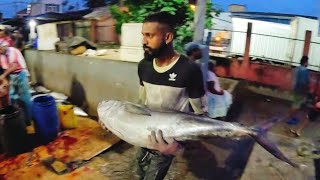 Amazing boaters who caught fish in three weeks ???fishing fishingvideo srilanka