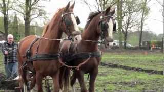 Ploegen met paarden 2012