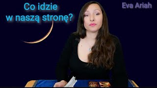 Co idzie w naszą stronę? Tarot. Wszystkie znaki.