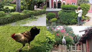 Gardening, Cutting Beautiful design plants ,pets Care palace Life