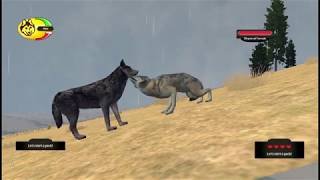 WolfQuest Tutorial On How To Get A Mate