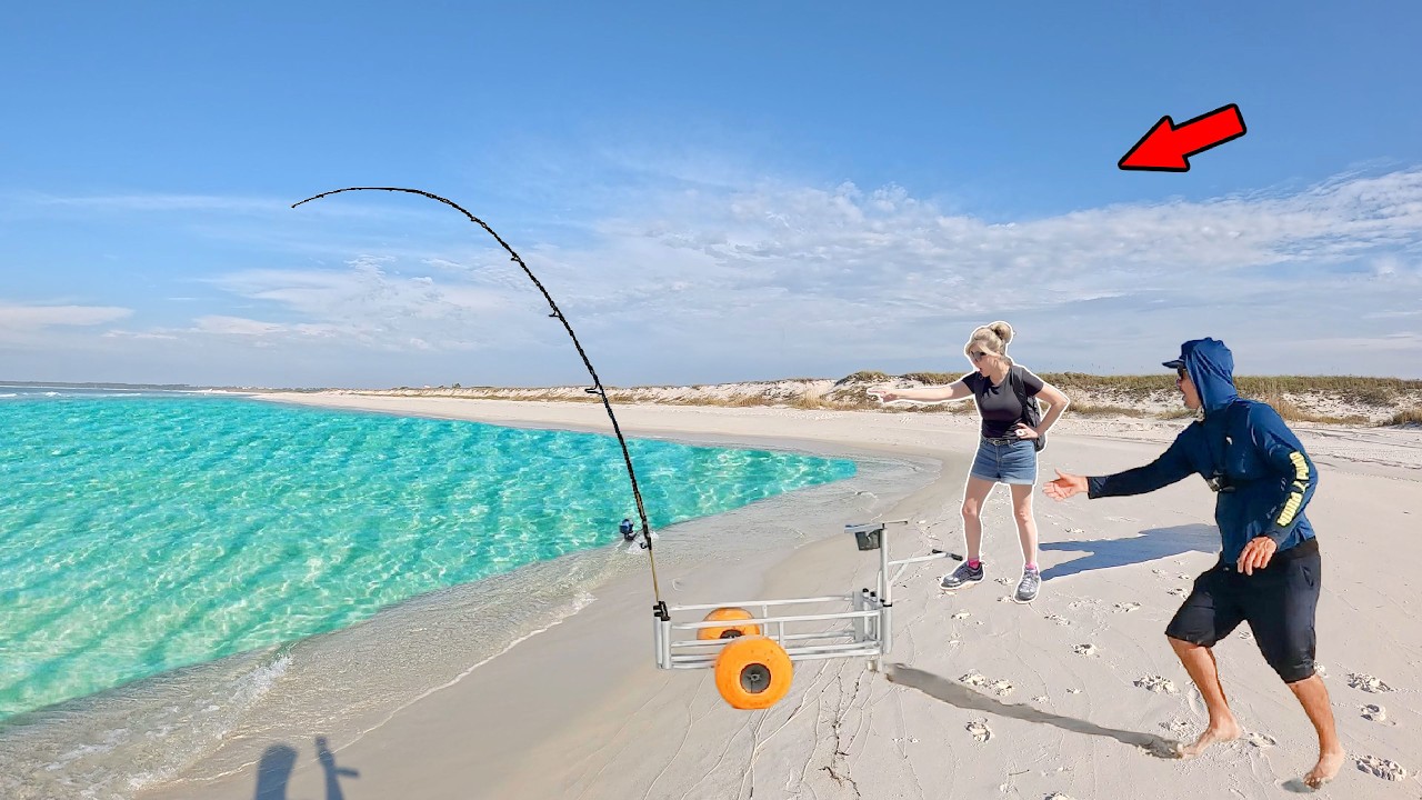 Craziest Beach Fishing I've Seen for 1 Hour!