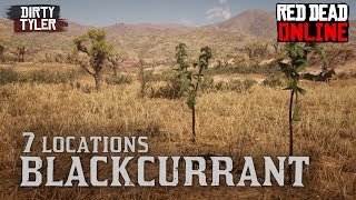 Blackcurrant Locations Red Dead Online