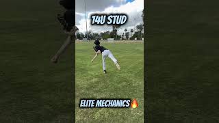 Famous Absolute elite mechanics from the young stud. What do you see in the mechanics? #baseball #mlb Wealth