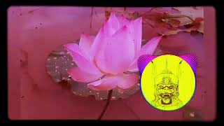 Remix 2018-New By Bek Mr Roth On The Mix