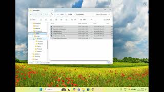 Windows: Copy files to multiple matching sub-folders of the destination folder using Copywhiz