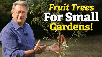How to Grow Fruit in Small Gardens | Easy, Space-Saving Ideas