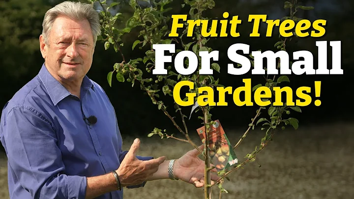 How to Grow Fruit in Small Gardens | Easy, Space-Saving Ideas thumbnail