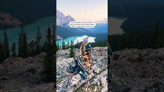 📍 Peyto Lake Viewpoint, Banff National Park🤩