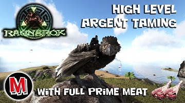 Ark Ragnarok Taming High Level Argentavis With Full Prime Meat