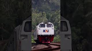 Central Java Local Train #railfanning #javatrain #javaisland #trains #centraljava #javaindonesia