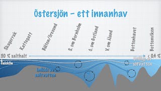 Havet som ekosystem