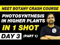 Photosynthesis in Higher Plants in 1 Shot | Botany in 30 Days | Day 3 | UMMEED