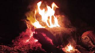 🔥Pure Midnight Bonfire: 1-Hour Authentic Night Fire (No AI, No Loop)