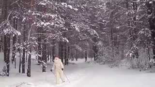 Дед МОРОЗ в лесу....окрестности Барнаула
