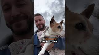 💔Τα social media λυγίζουν για τη Μιλού
