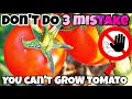 Don't Do 3 Mistake You Can't Grow Tomato /🍅 टमाटर खेति गर्दा यि तिन गल्तिहरु नगर्नु होला !