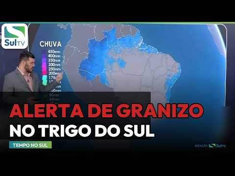 Risco de granizo põe o trigo do Sul em alerta; chuva pode somar 250 mm em 30 dias