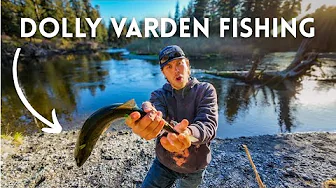 I'm Back in Alaska and It's Awesome | Fishing for CHAR!