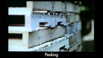 Peaking and Focus Assist