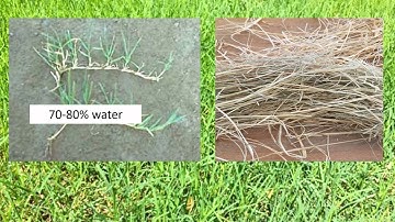 Equine Forage Education Video Series:  Video 5:  Interpreting a Forage Report