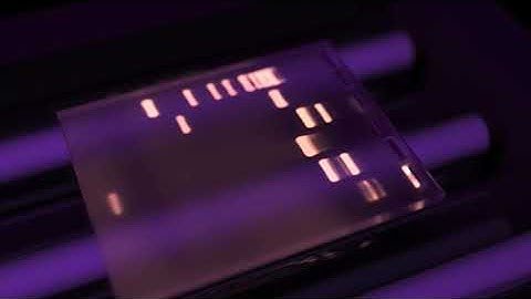 Gel Electrophoresis and Gel Analysis