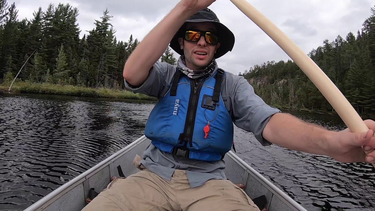 The Search for Old Growth Red and White Pine in Temagami - Part 2 - YouTube