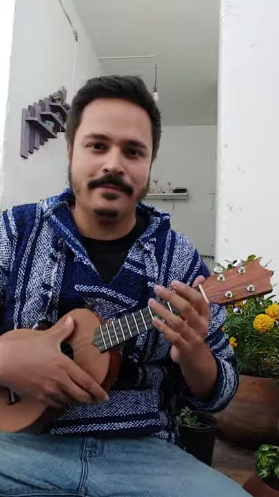 12th Street Rag ( ukulele)