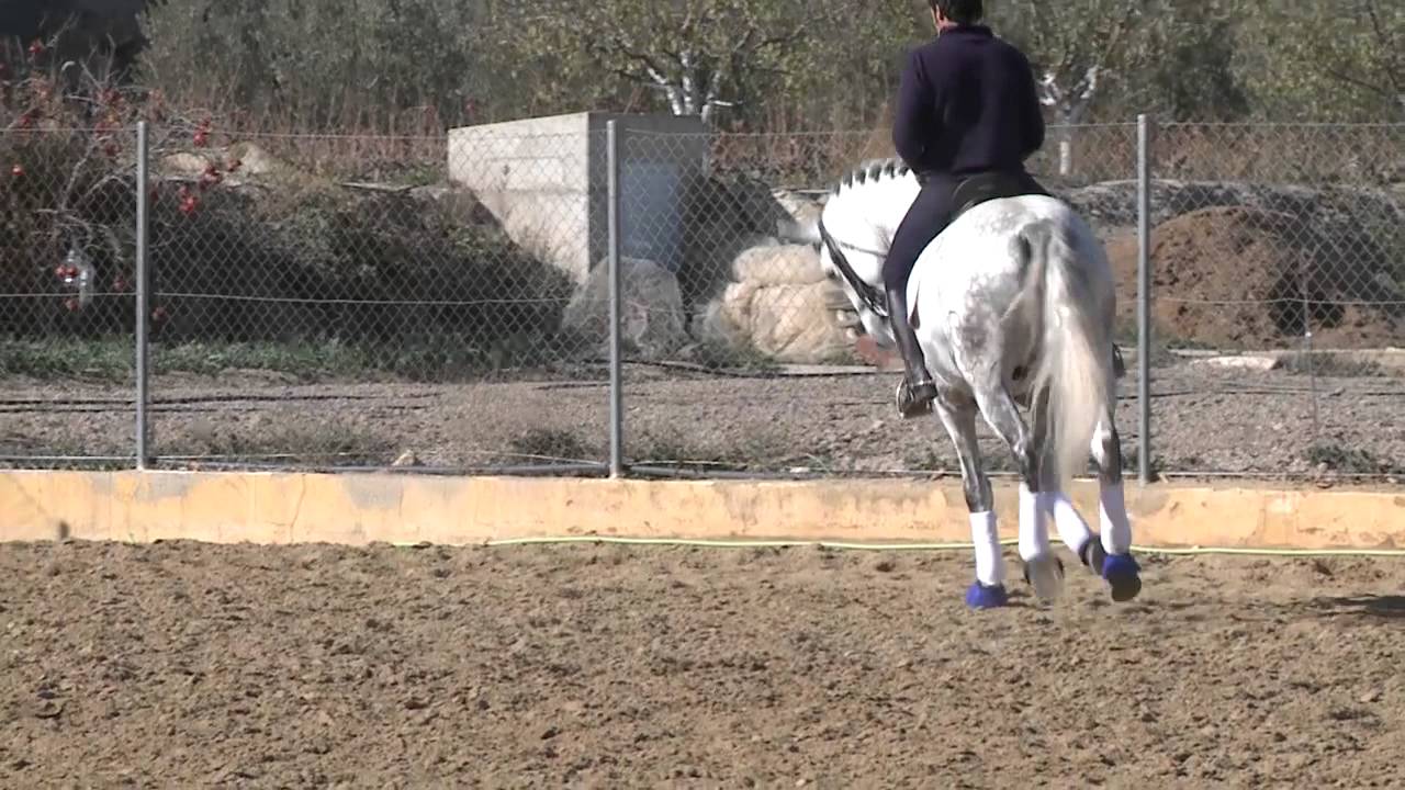 TRISETUM  Ventura Benitez