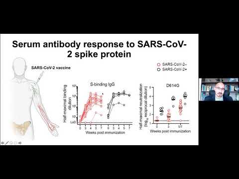 Video: Ali covid-19 in sars-cov-2 pomenita isto?