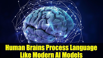 Human Brains Process Language Like Modern AI Models | Neuroscience & AI Insights