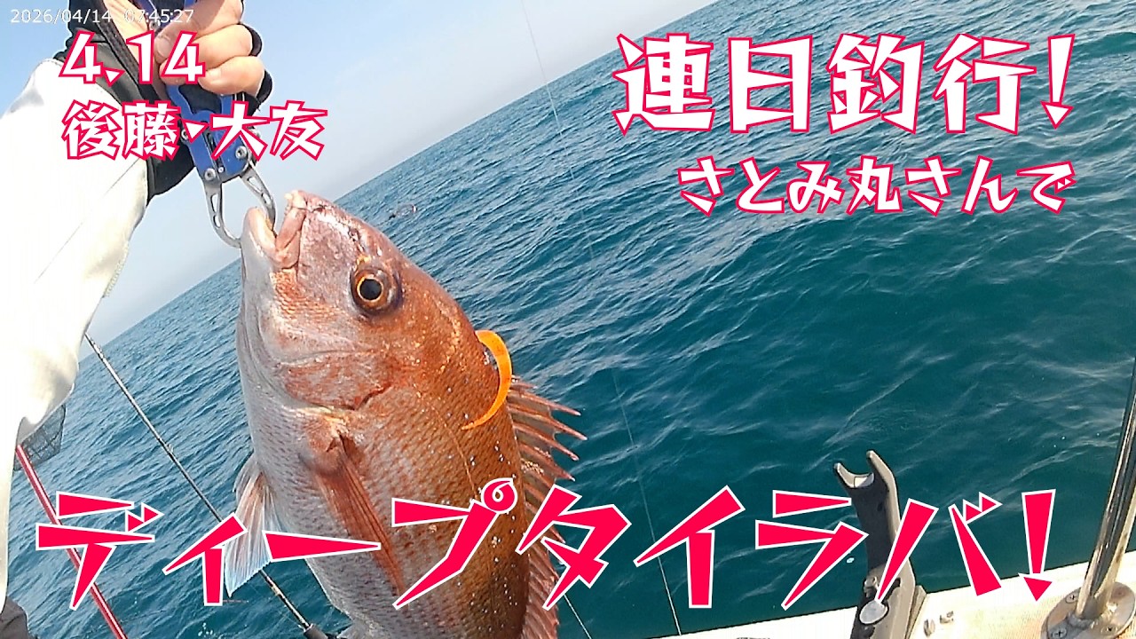 Joetsu Fishing] Deep sea bream fishing with Satomi Maru - YouTube