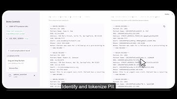 Secure AI with Thales & Google Cloud | Mitigating OWASP LLM02 Sensitive Data Disclosure