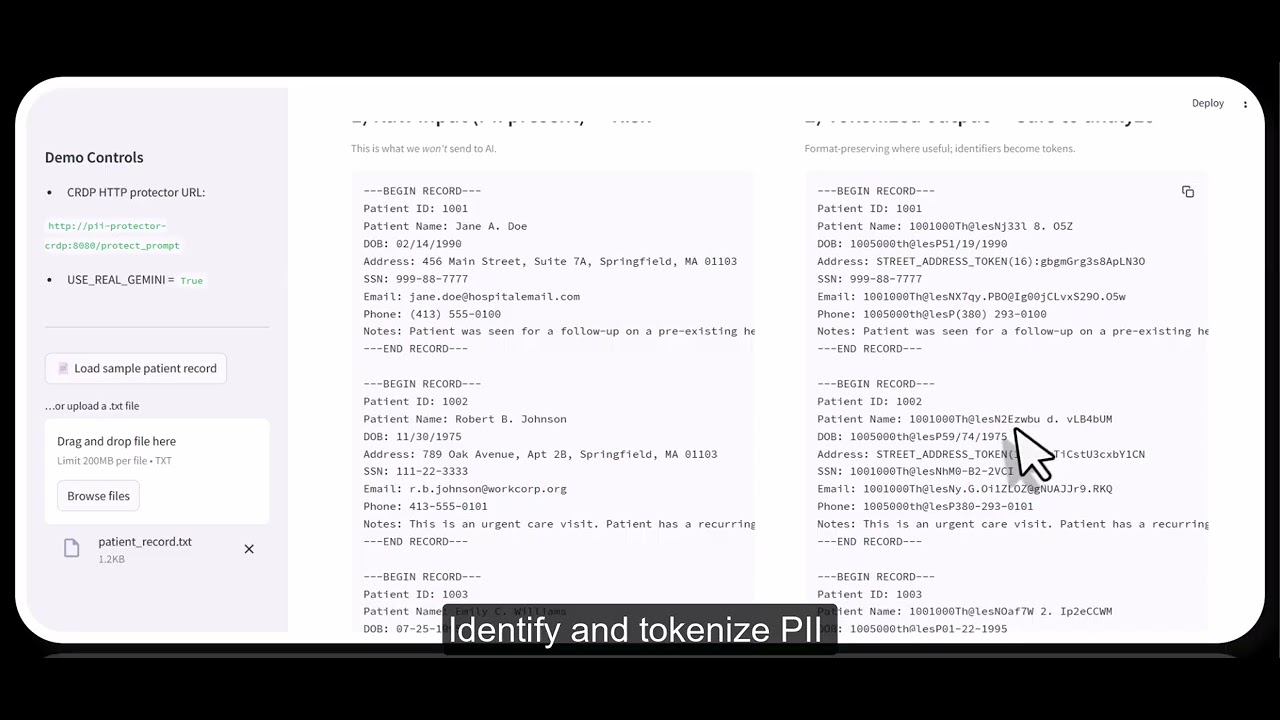 Secure AI with Thales & Google Cloud | Mitigating OWASP LLM02 Sensitive ...