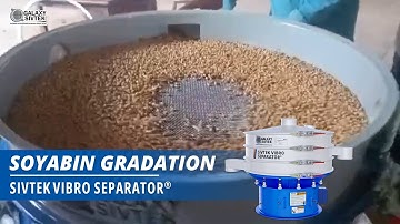 Gradation of Soyabin with Sivtek Vibro Separator