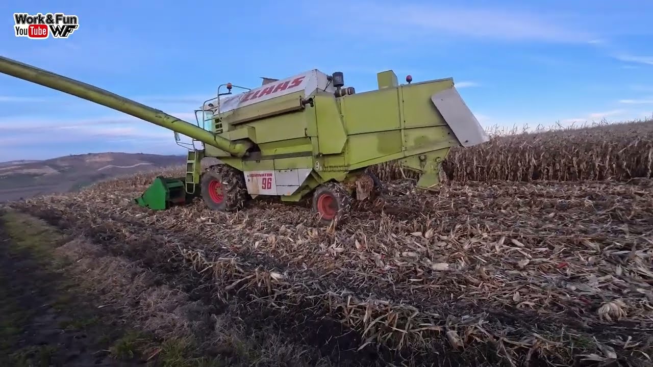 Crăciun fericit! 🙏 Claas Dominator 96 - recoltez porumb 
