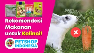 Download Lagu Rekomendasi Makanan Kelinci TERBAIK \u0026 SEHAT dari Petshop Indonesia MP3