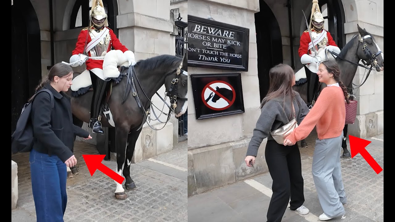 It’s NOT FUNNY!! Guard orders Them to Get Out of the Box