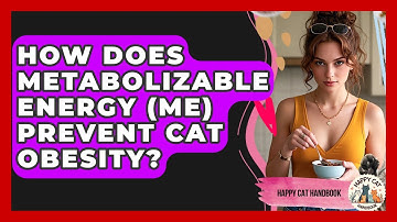 How Does Metabolizable Energy (ME) Prevent Cat Obesity? - Happy Cat Handbook