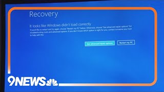 IT expert says computer outage was a systematic failure that could have been avoided