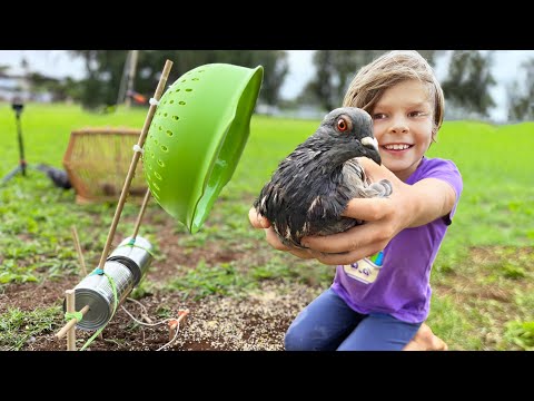 We Trapped Pigeons For Urban Survival Food