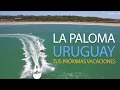 /// La Paloma ///  Uruguay ///