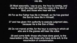 John 5 - English l Audio & Scripture l NKJV