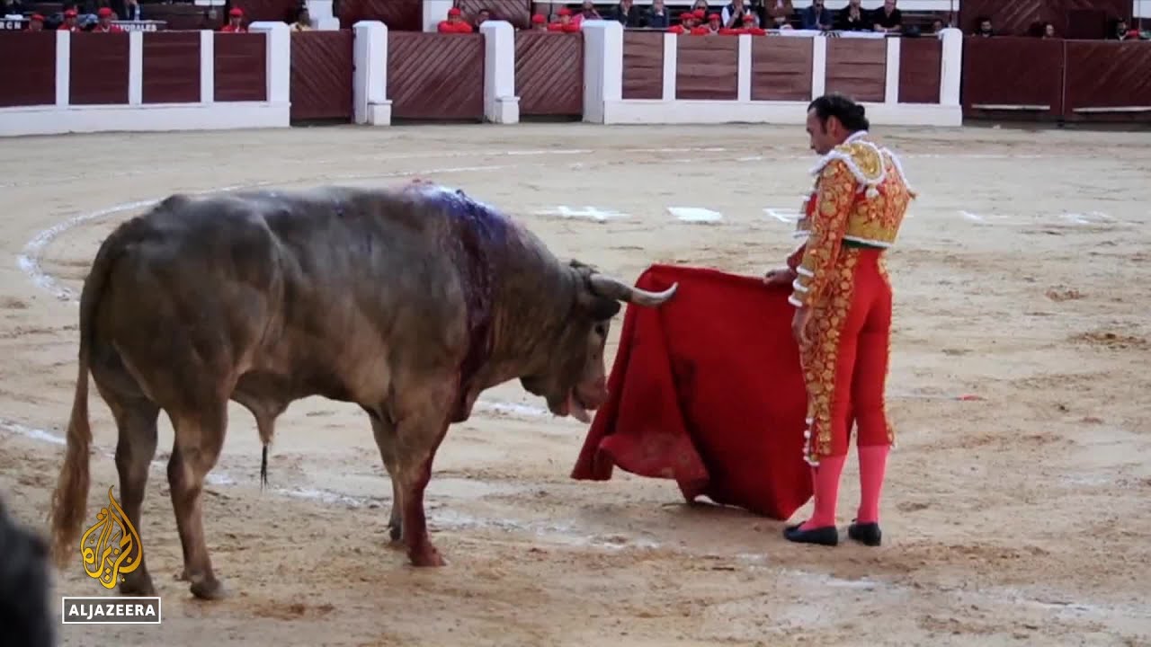 حظر مصارعة الثيران في كولومبيا: القضاء التدريجي على التقاليد الإسبانية