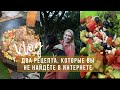 VLOG / ГОТОВИМ ДВА БЛЮДА / ДАЧНАЯ ЖИЗНЬ В ПОСЛЕДНИИ ДНИ ЛЕТА