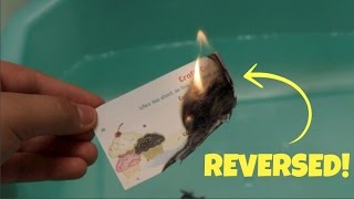 RANDOM STUFF PUT IN REVERSE