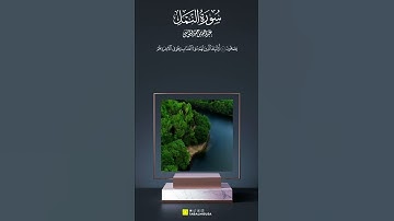 القارئ #عبدالله_الموسى ماتيسر من سورة النمل (مقاطع قصيرة)